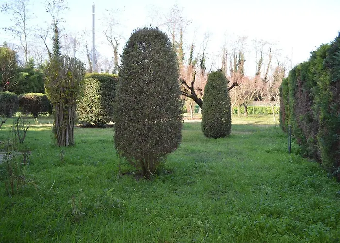 게스트하우스 Scandellara 24 3*