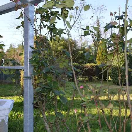 بيت ضيافة Scandellara 24